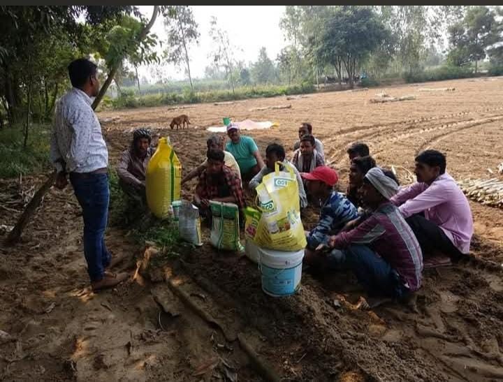 Members of the society working in the fields